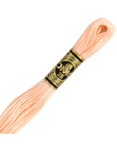 Fils à broder Spécial (Roses) - DMC