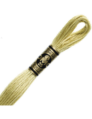 Fils à broder Spécial (Beiges) - DMC
