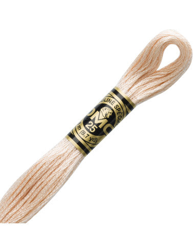 Fils à broder Spécial (Beiges) - DMC