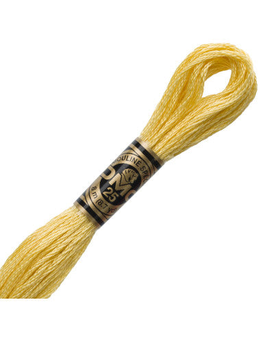 Fils à broder Spécial (Beiges) - DMC