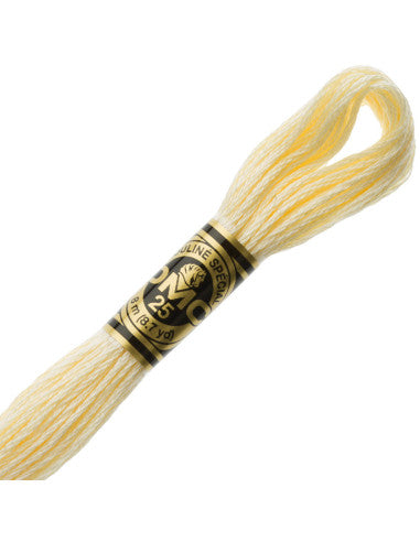 Fils à broder Spécial (Beiges) - DMC