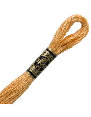 Fils à broder Spécial (Beiges) - DMC