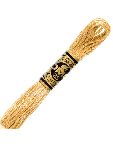 Fils à broder Spécial (Beiges) - DMC