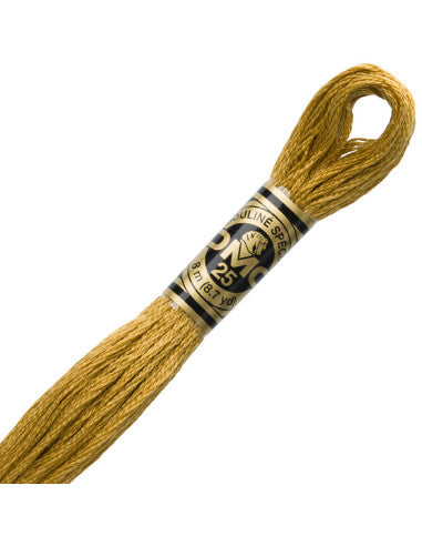 Fils à broder Spécial (Beiges) - DMC