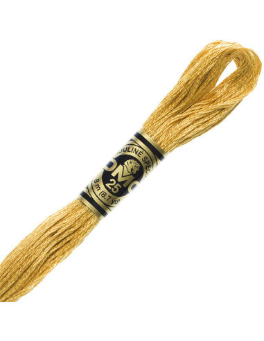 Fils à broder Spécial (Beiges) - DMC