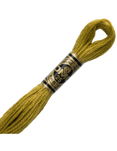 Fils à broder Spécial (Beiges) - DMC