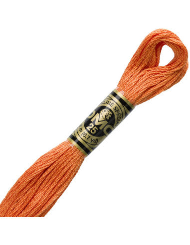 Fils à broder Spécial (Oranges) - DMC