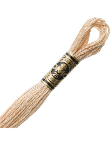 Fils à broder Spécial (Beiges) - DMC