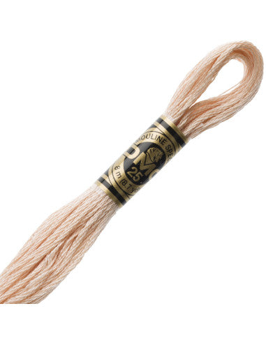Fils à broder Spécial (Beiges) - DMC