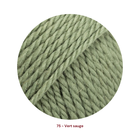 Drops Alaska - 75 Vert sauge