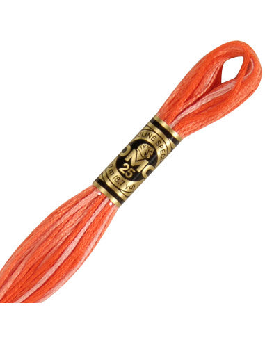 Fils à broder Spécial (Oranges) - DMC