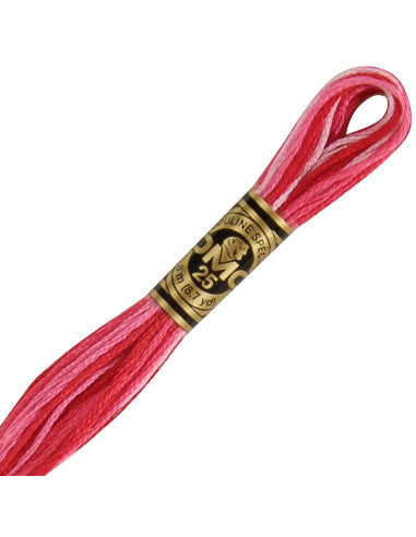 Fils à broder Spécial (Rouges) - DMC