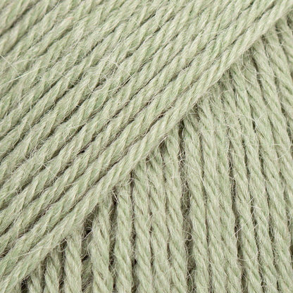 Drops Nord - Vert sauge